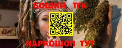 индика Нягань