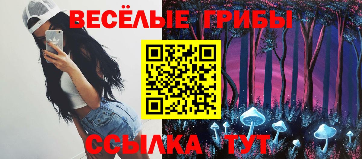 Сибай  цена наркотик  Вход с VPN  Галлюциногенные грибы мицелий 